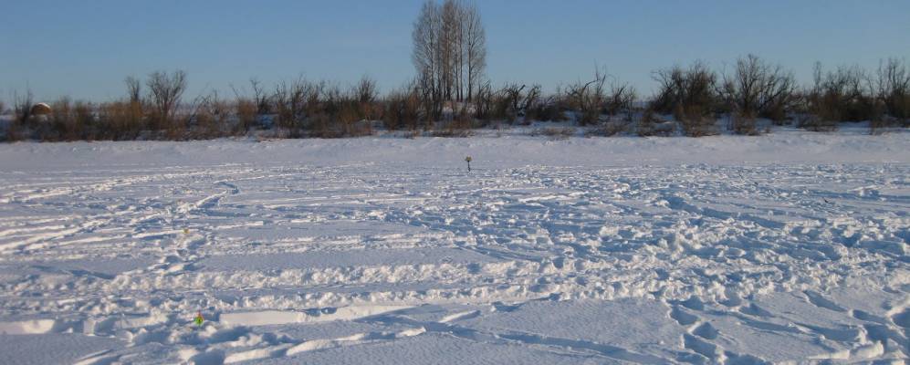 
            Фотография Ерзовки
