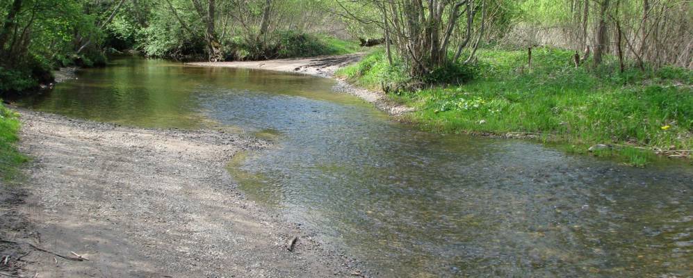 Фотография Никитино