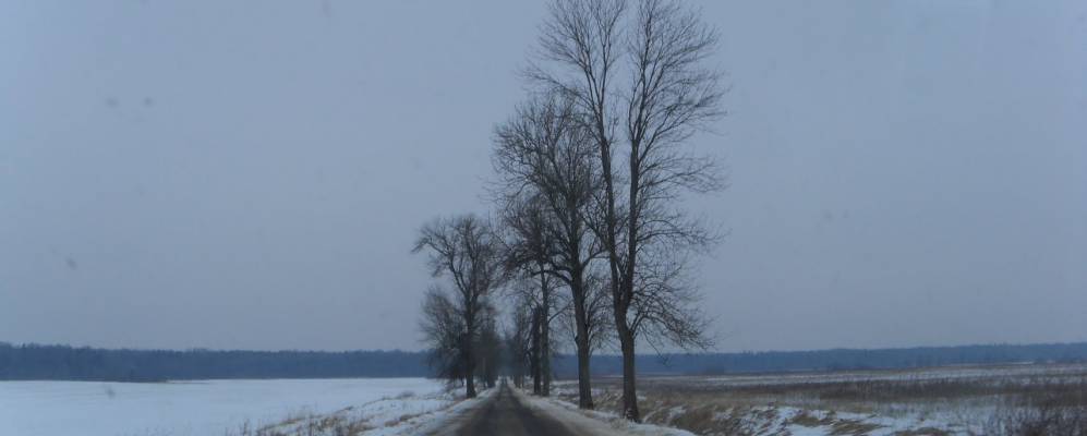 
            Фотография Торфяновки