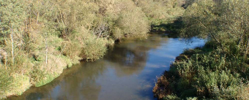 
            Фотография деревни Яцково-Корчёмные