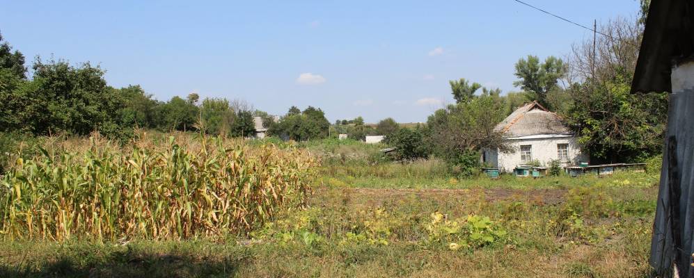 
            Фотография Кодаков