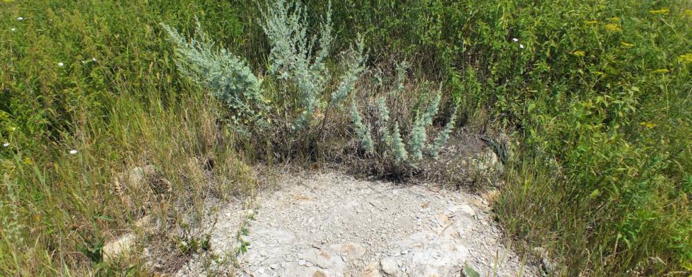 
            Фотография Косоротовских Выселок