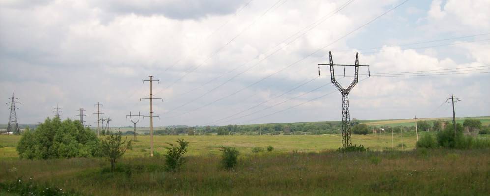 
            Фотография Дубки