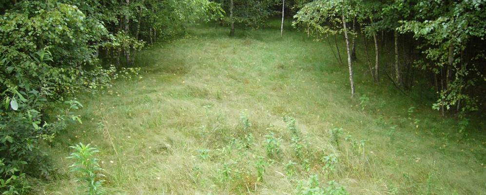 Фотография Почников