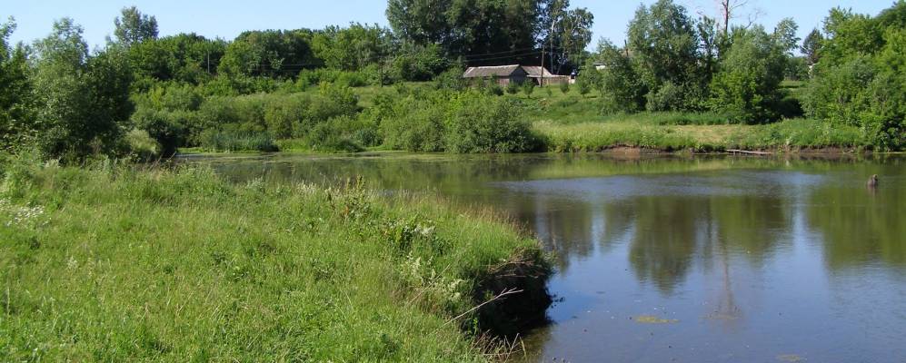 
            Фотография Сомово