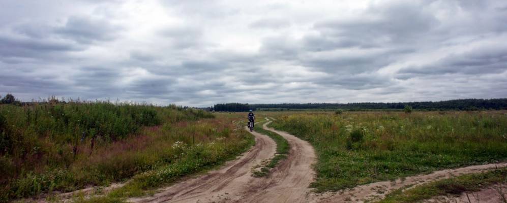 
            Фотография Тимерево