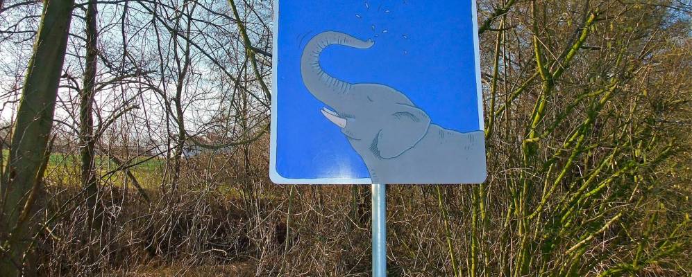 
            Фотография Зульцбаха