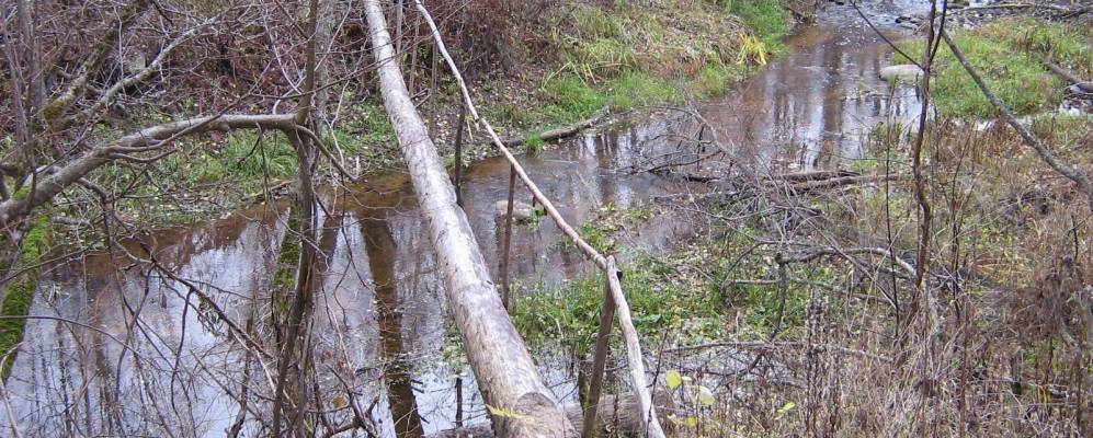 
            Фотография деревни Большие Влешковичи