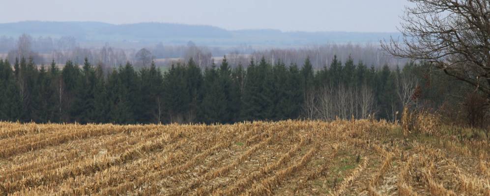 Фотография деревни Адамовцы