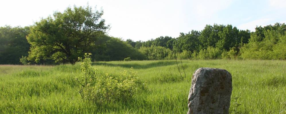 Фотография Трощина