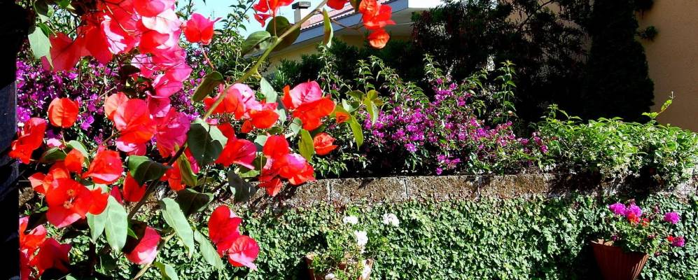 
            Фотография Казал-Палокко