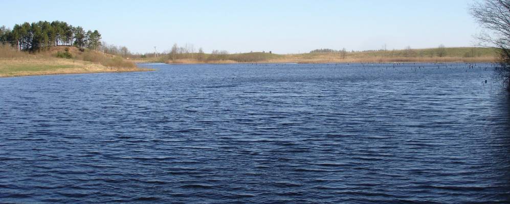 
            Фотография Гласково