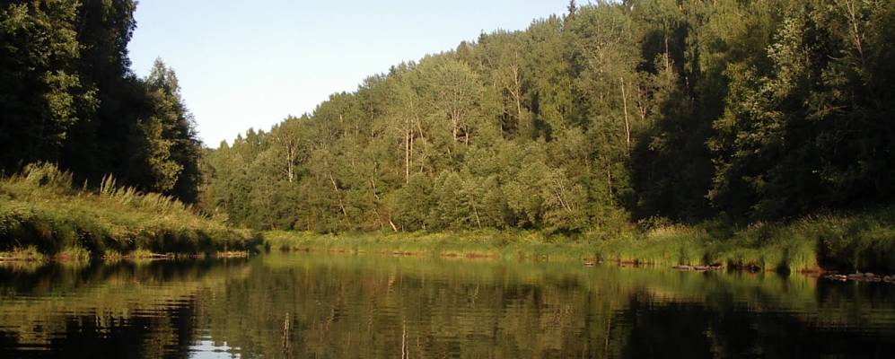 
            Фотография Казалмы