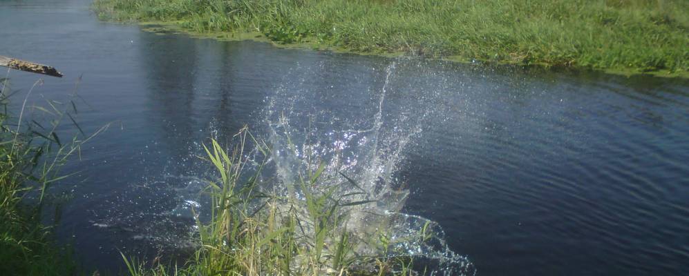 
            Фотография Радости