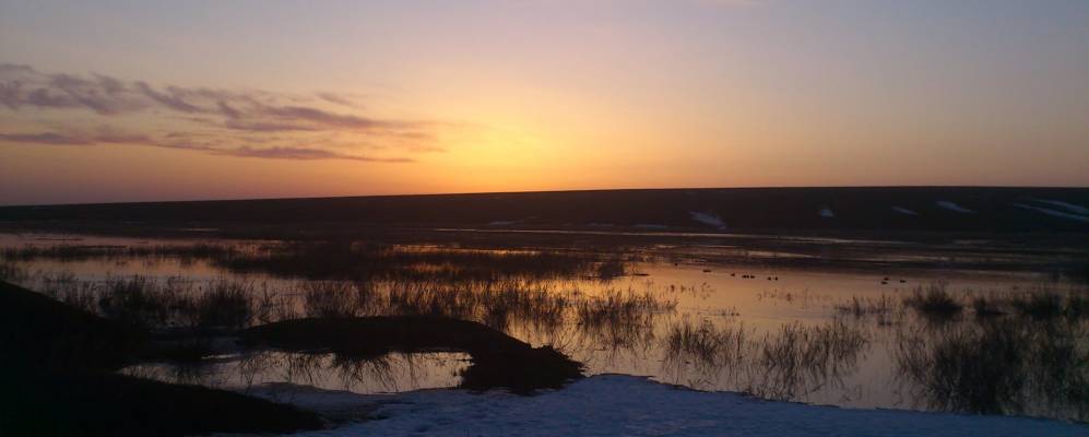 
            Фотография Рождественки