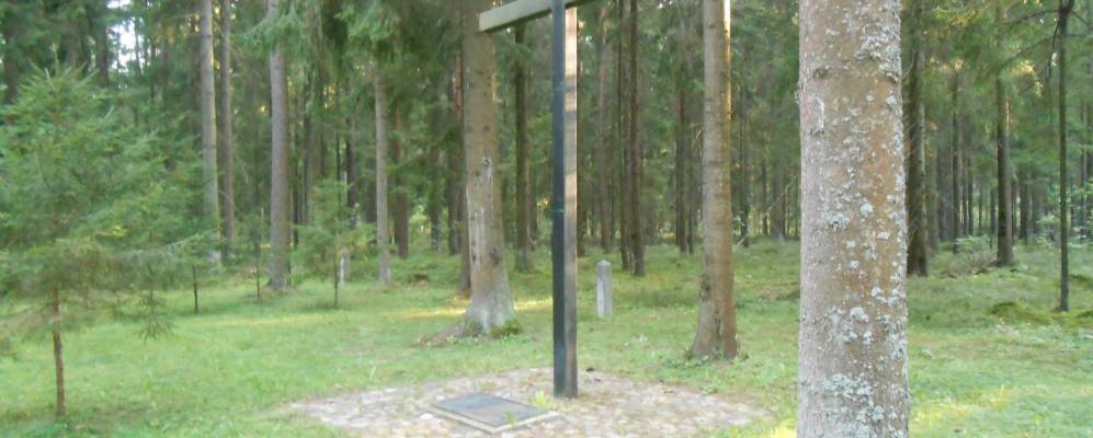 Фотография деревни Романы