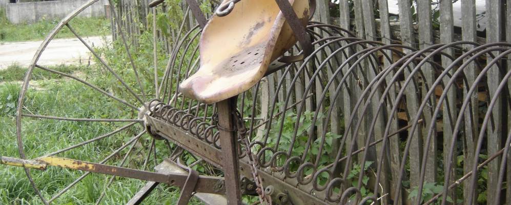 
            Фотография Растригино