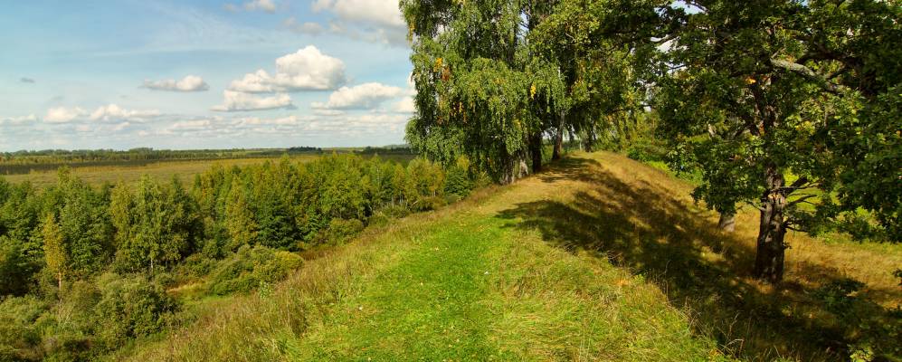 
            Фотография Велья