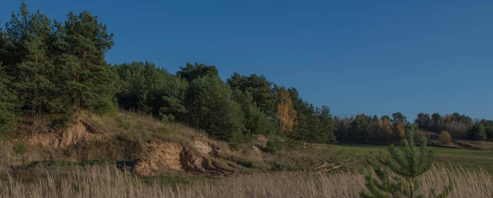 
            Фотография деревни Грицкевичи