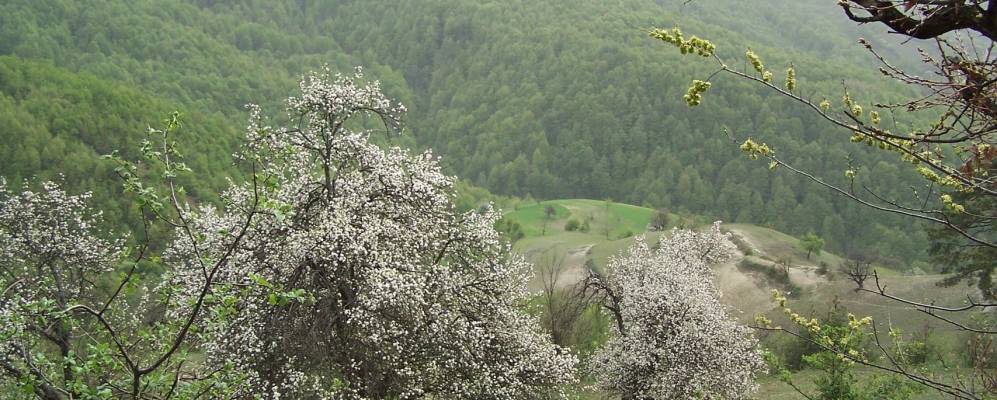 
            Фотография Гёкчебея