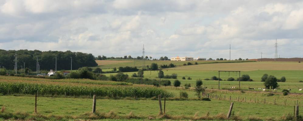 
            Фотография Капеллена