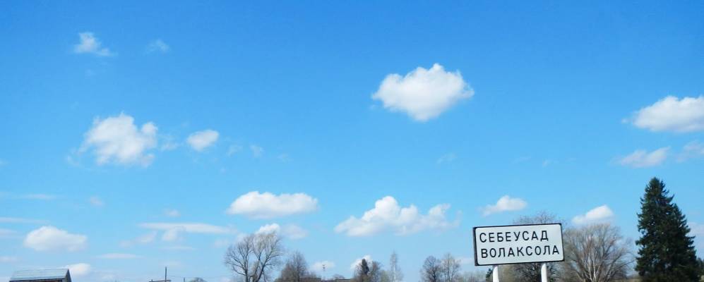 
            Фотография Смычки