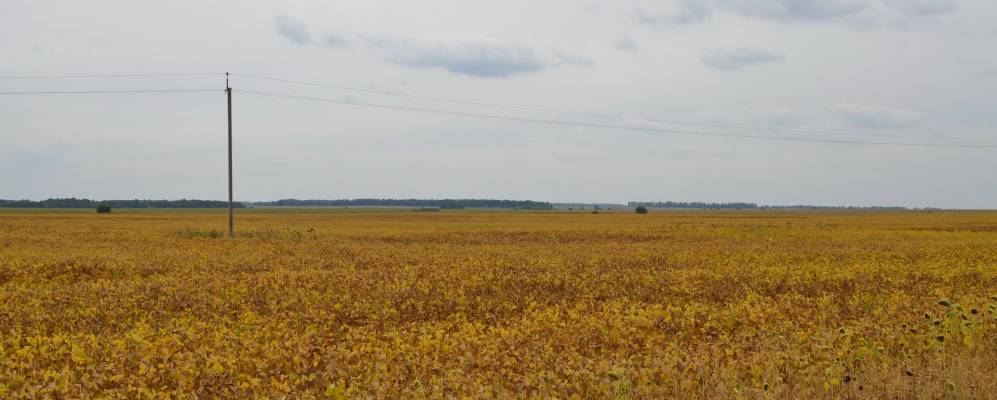 
            Фотография Кашперовки