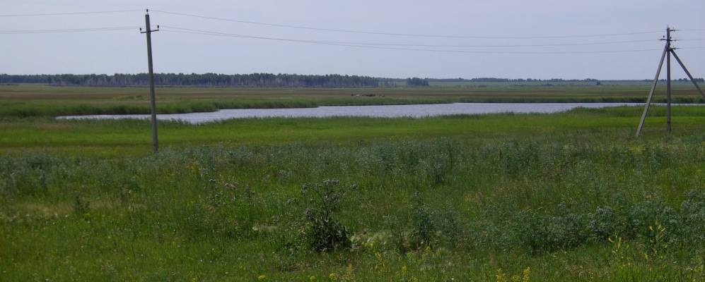 Фотография Карманово