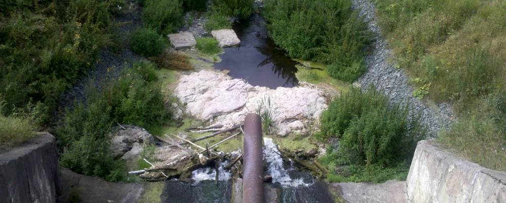 
            Фотография Сперановки