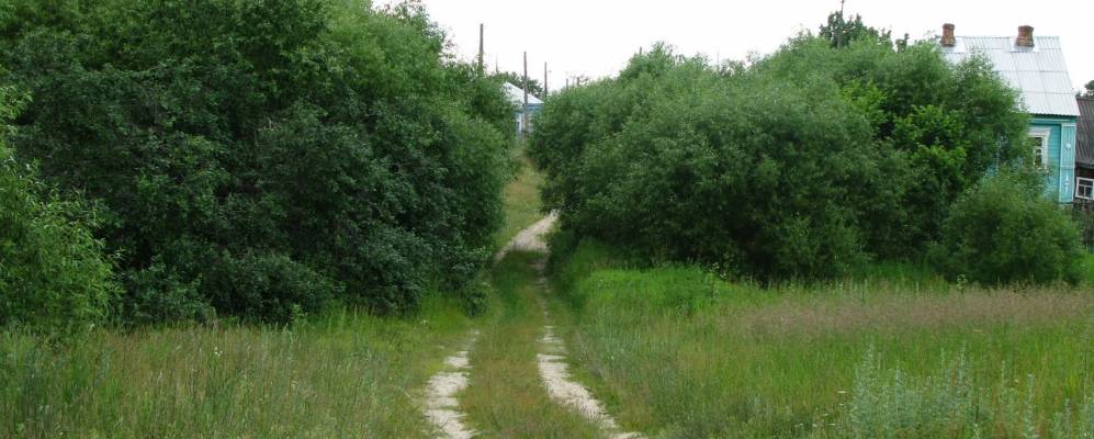 Фотография Лебедино