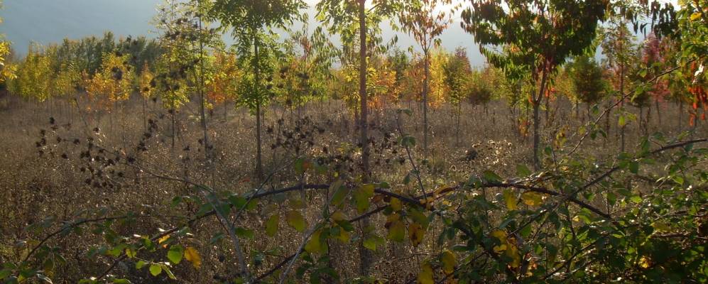 
            Фотография Скуркола-Марсиканы