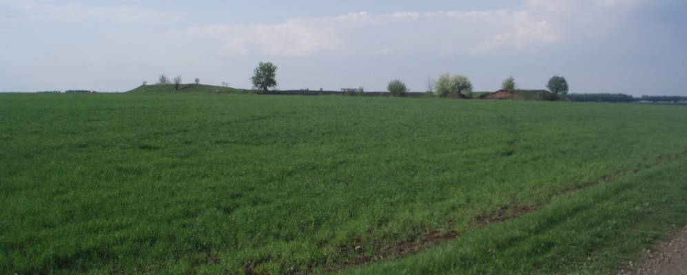 
            Фотография Круглого