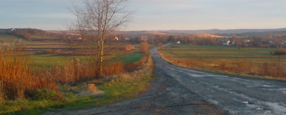 
            Фотография Добощевки