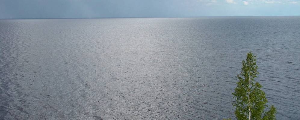 
            Фотография Песчаного