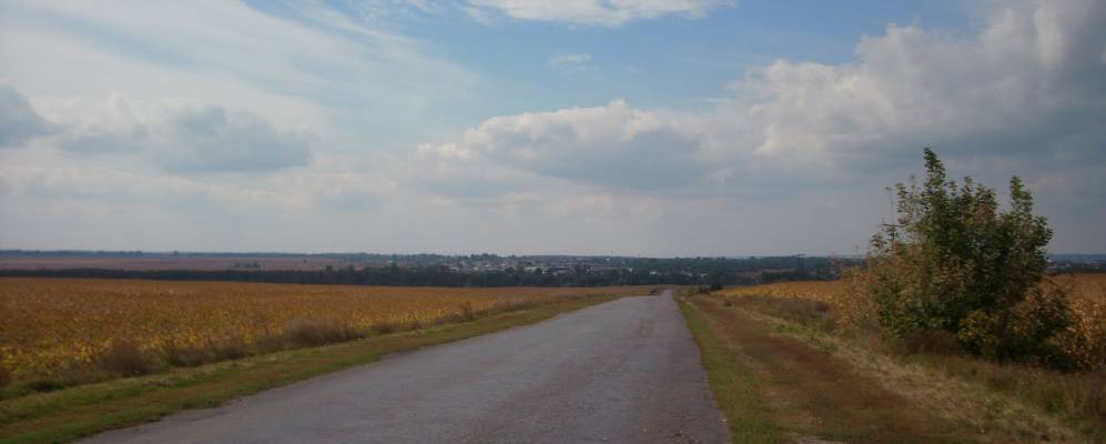 
            Фотография Калиновицы