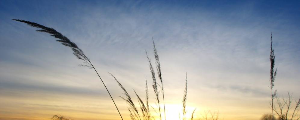 Фотография Ореховки