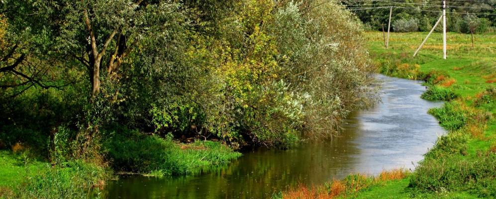 
            Фотография Акимчиц