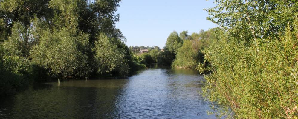 
            Фотография Подгорской