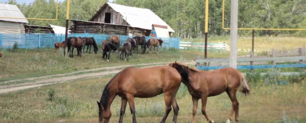 Фотография Кадырши