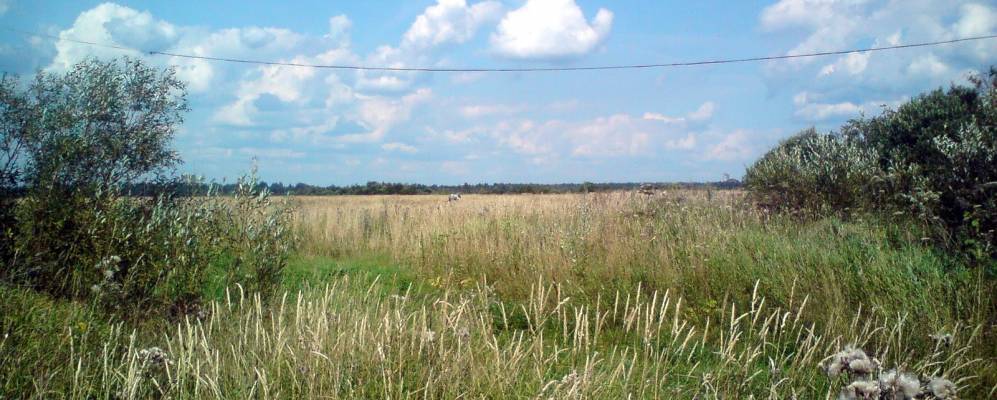 Фотография Скородумово