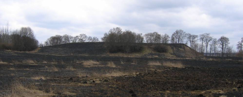 
            Фотография Залучья