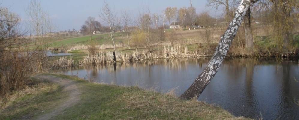 
            Фотография Цуркова