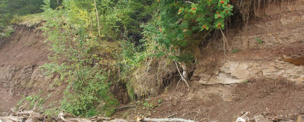 
            Фотография Бутыров