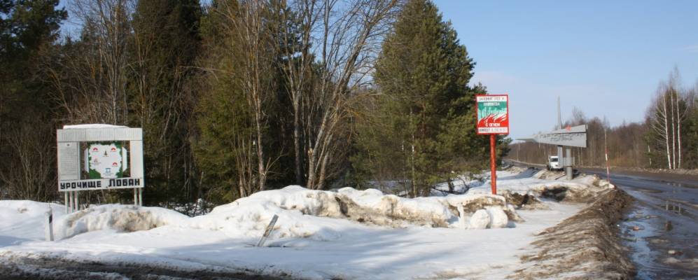 
            Фотография Ольшаницы