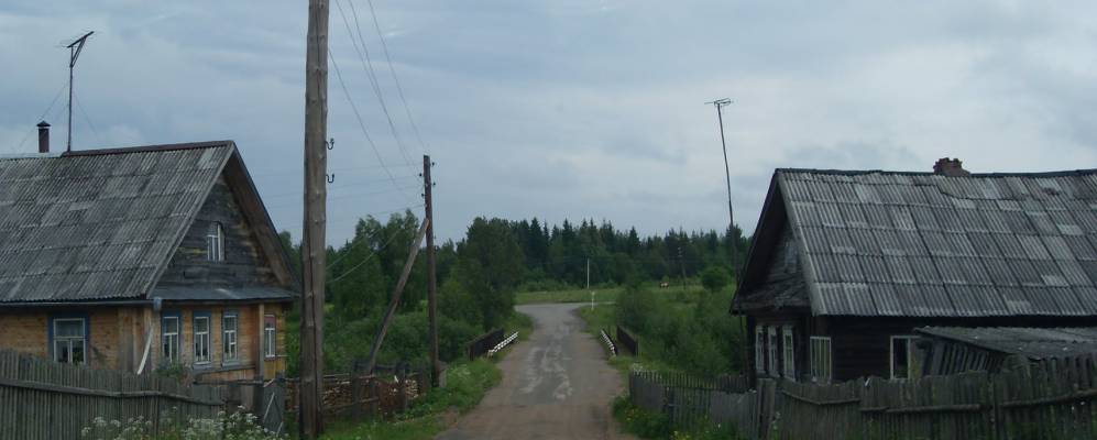 
            Фотография Новинки