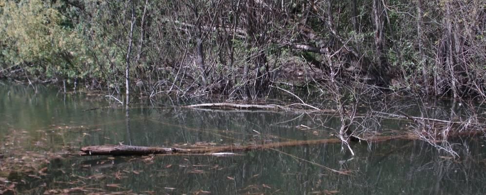 
            Фотография Ивашковцев