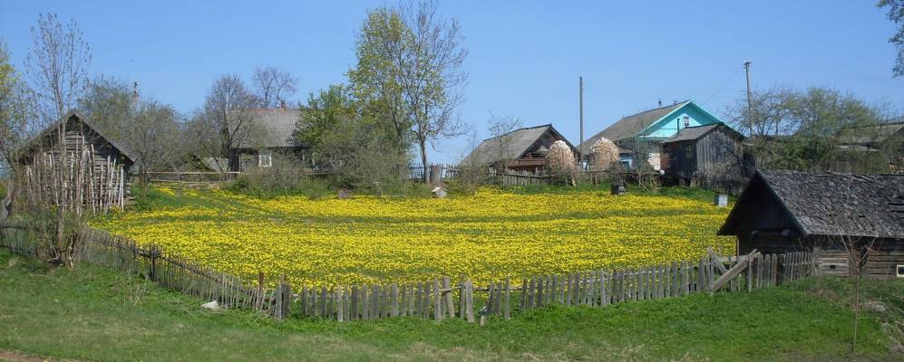 
            Фотография деревни Пушмачи