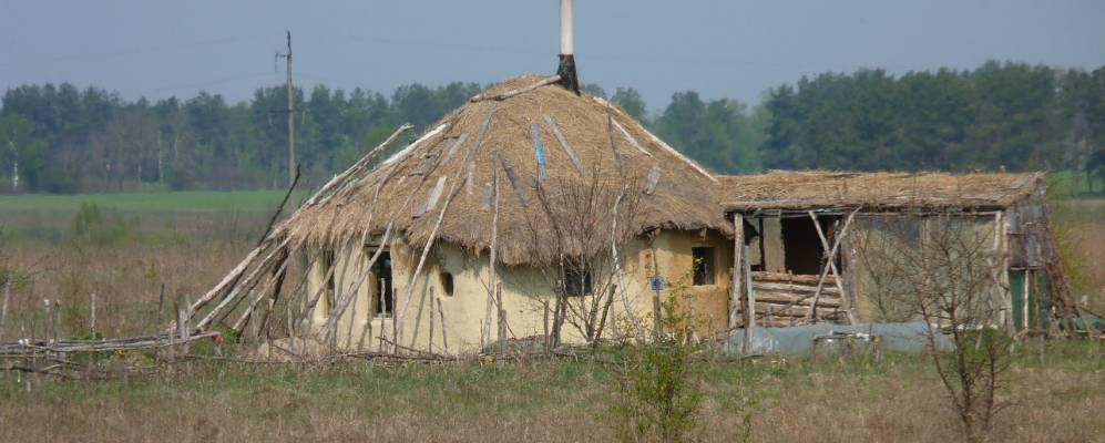 
            Фотография Олизарки