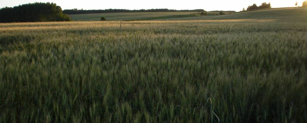 
            Фотография Баранникова