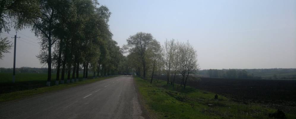 
            Фотография Тетеревки